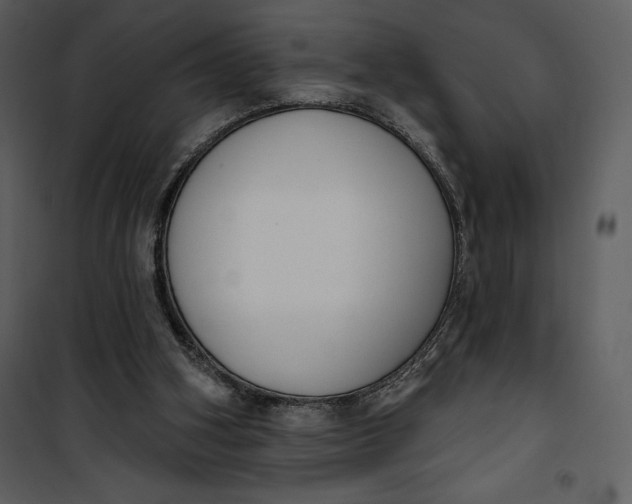 X0000101230106200807181612