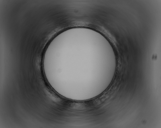 X0000101230107200807181612