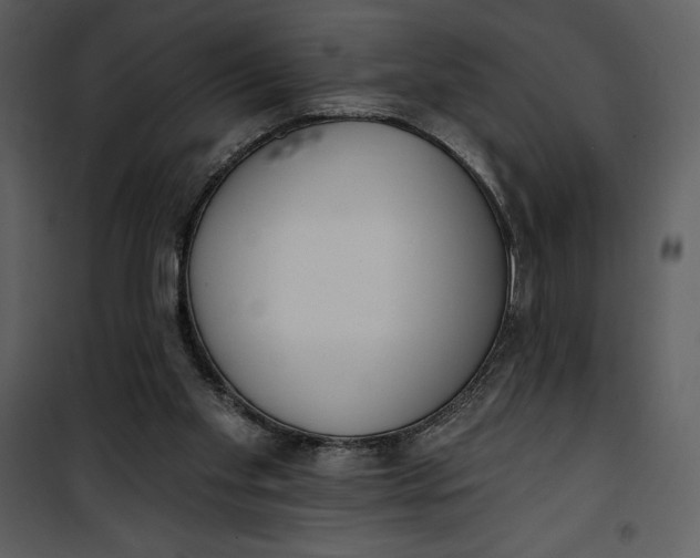 X0000101230109200807181612
