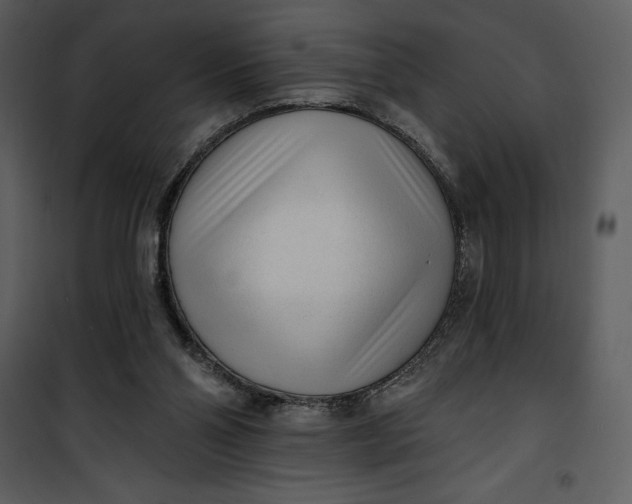 X0000101230110200807181612