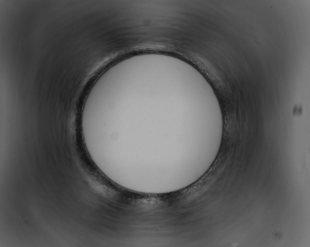 X0000101230112200807181612