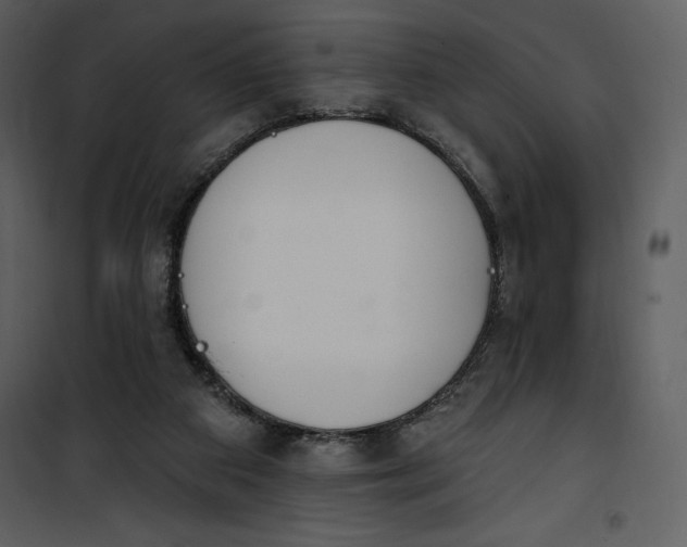 X0000101230113200807181612