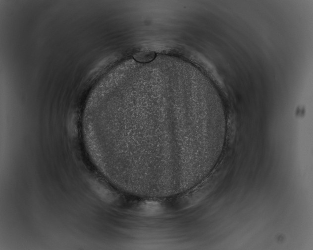 X0000101230114200807181612