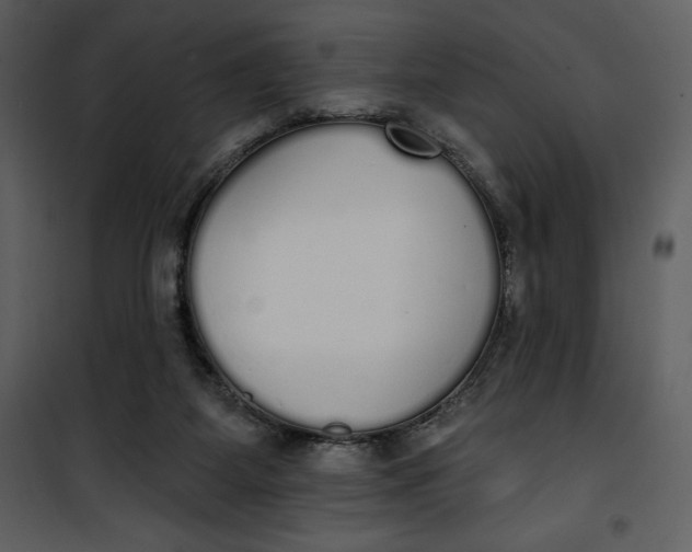 X0000101230115200807181612