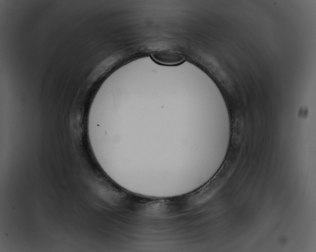 X0000101230116200807181612