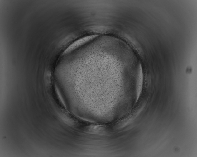 X0000101230117200807181612