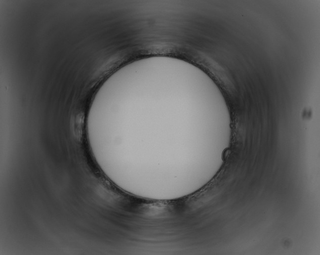 X0000101230118200807181612