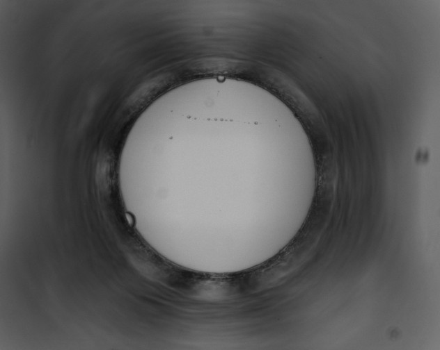 X0000101230119200807181612