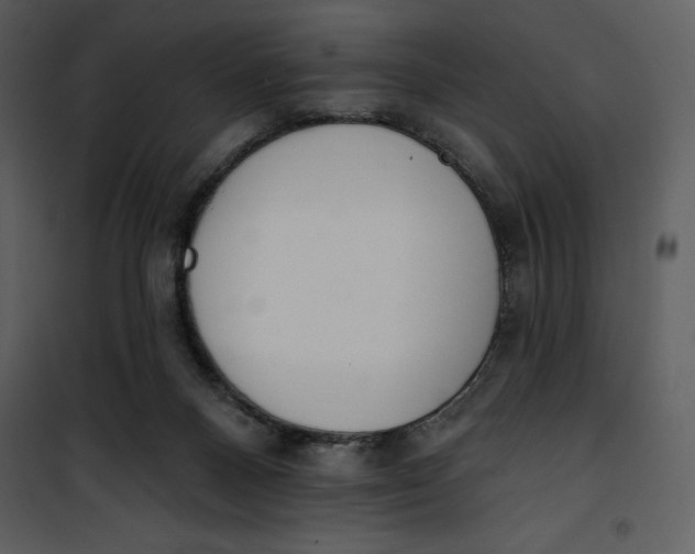 X0000101230120200807181612