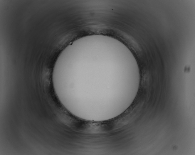 X0000101230121200807181612