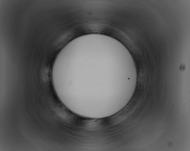 X0000101230122200807181612