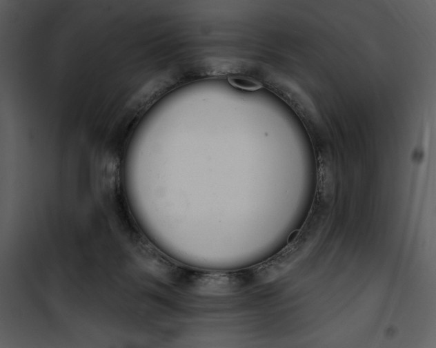 X0000101230123200807181612