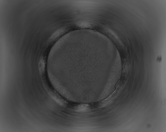 X0000101230124200807181612