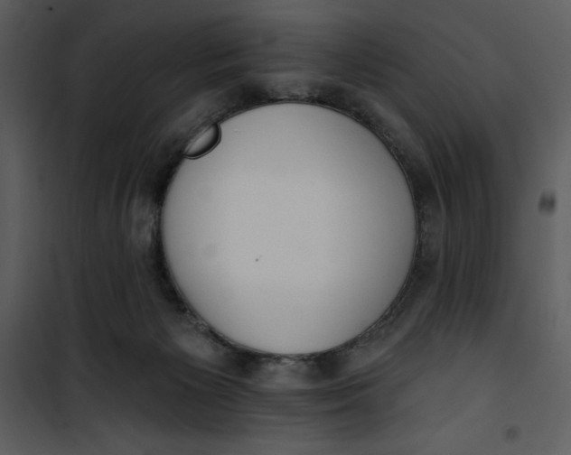 X0000101230125200807181612