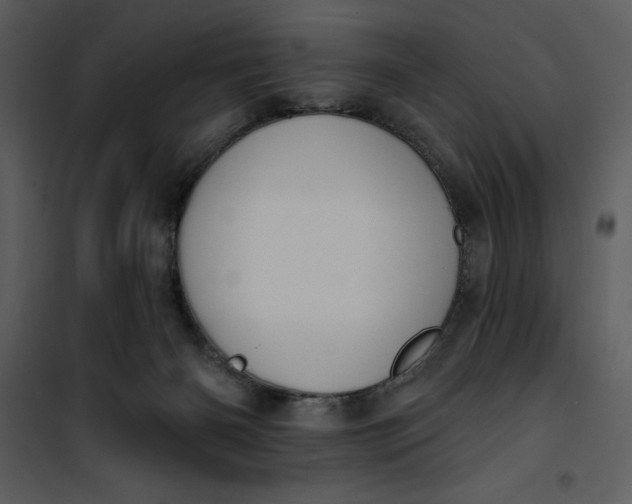 X0000101230126200807181611