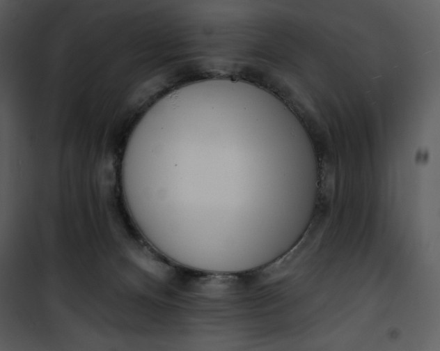 X0000101230128200807181611