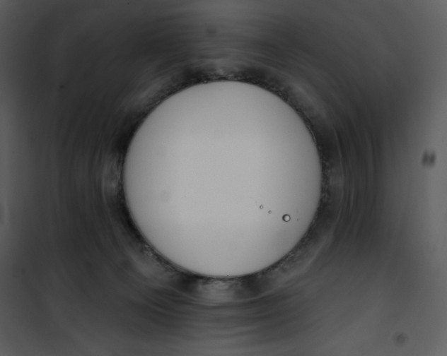 X0000101230129200807181611