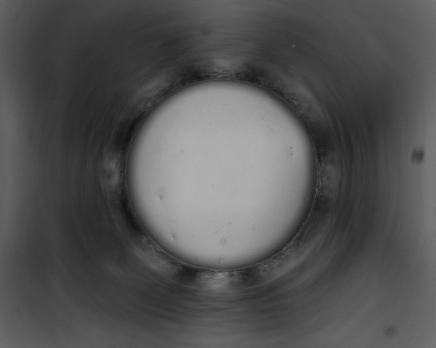 X0000101230131200807181611