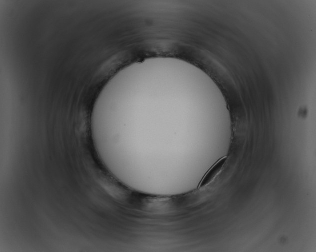 X0000101230132200807181611