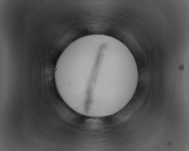 X0000101230133200807181611