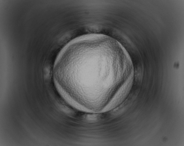 X0000101230134200807181611