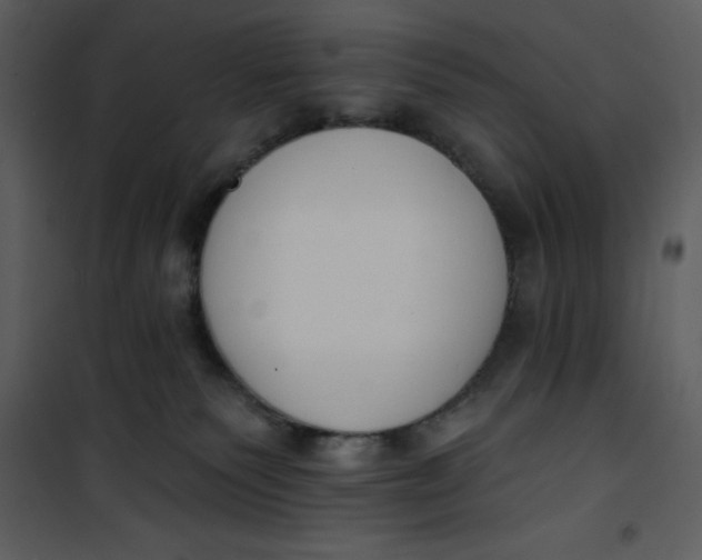 X0000101230135200807181611