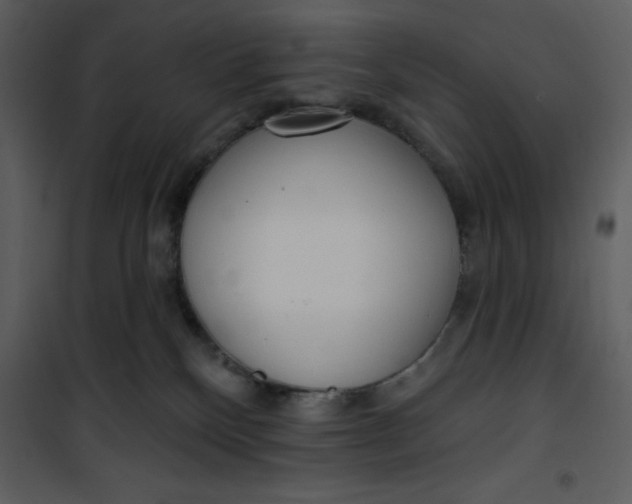 X0000101230136200807181611