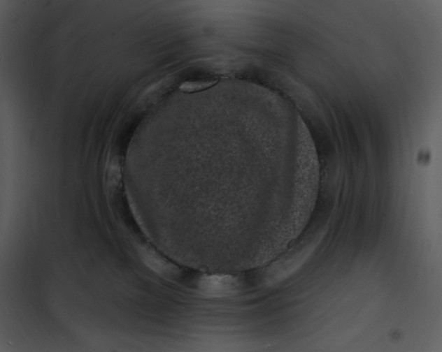 X0000101230137200807181611