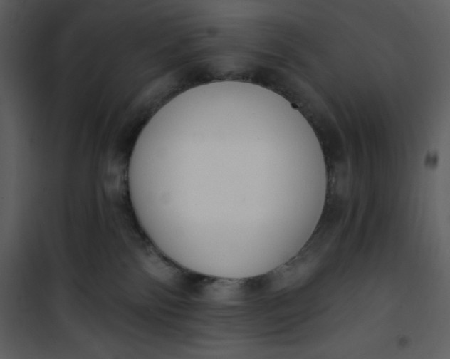 X0000101230138200807181611