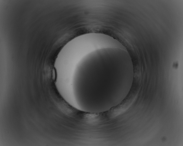 X0000101230139200807181611