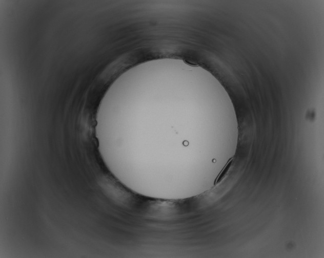 X0000101230140200807181611