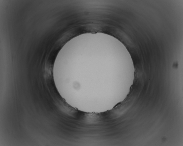 X0000101230141200807181611