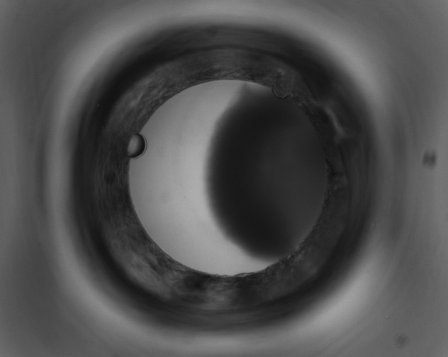 X0000101230143200807181611