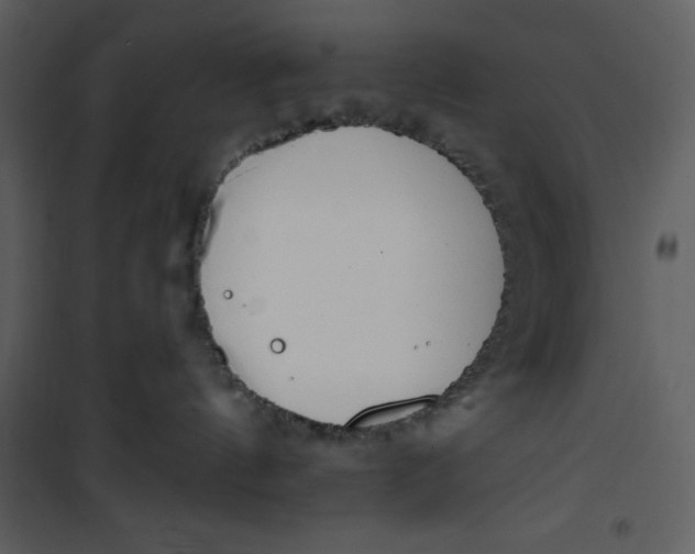 X0000101230144200807181611