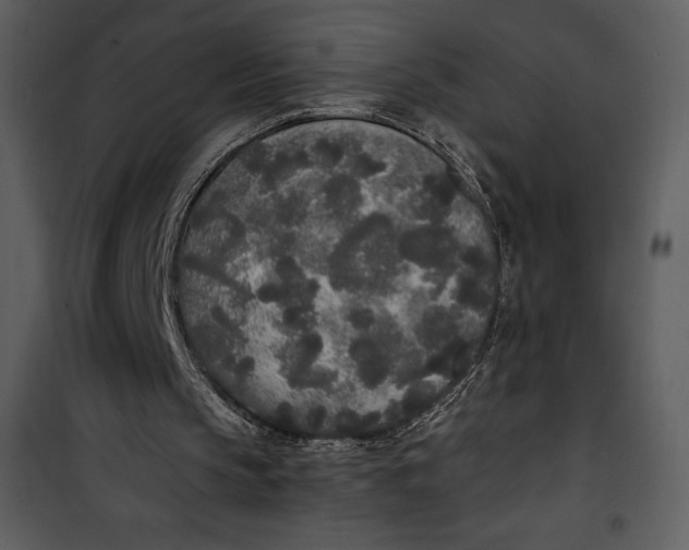 X0000101230145200807181611