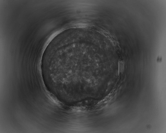 X0000101230147200807181611