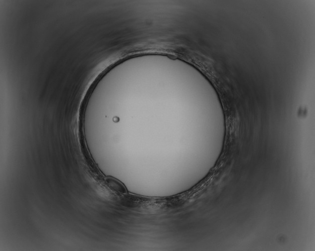 X0000101230148200807181611