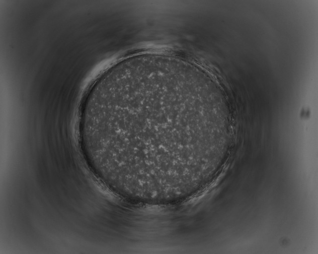 X0000101230149200807181611