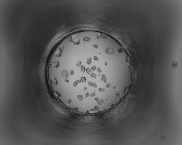 X0000101230151200807181611