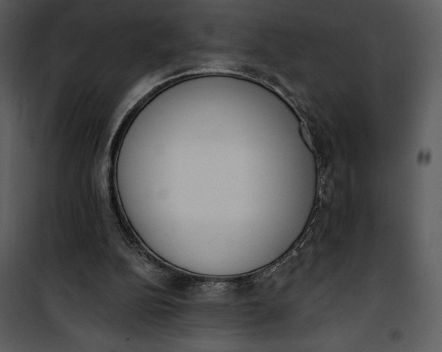 X0000101230152200807181611