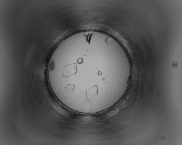 X0000101230153200807181611