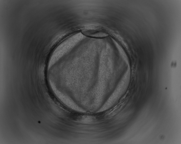 X0000101230154200807181611