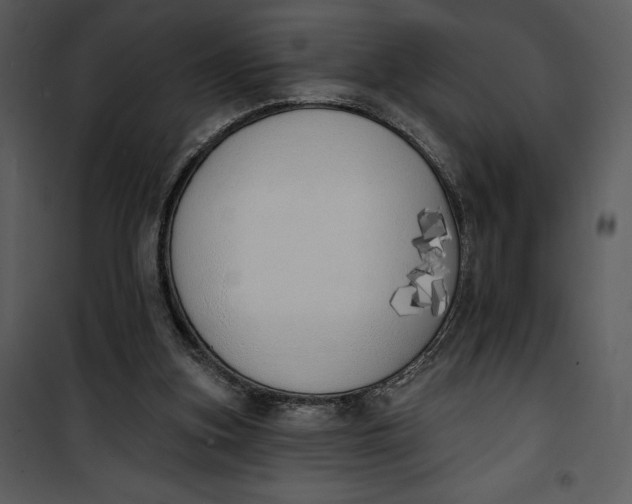 X0000101230155200807181611