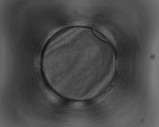 X0000101230156200807181611