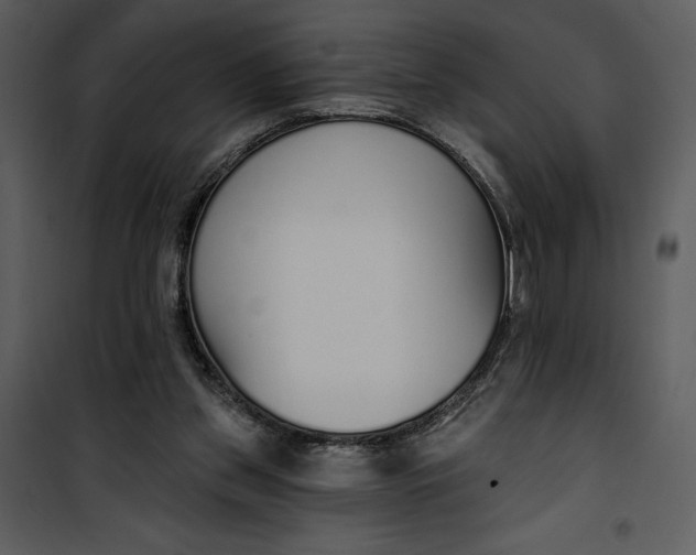 X0000101230157200807181611