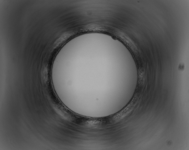 X0000101230158200807181611