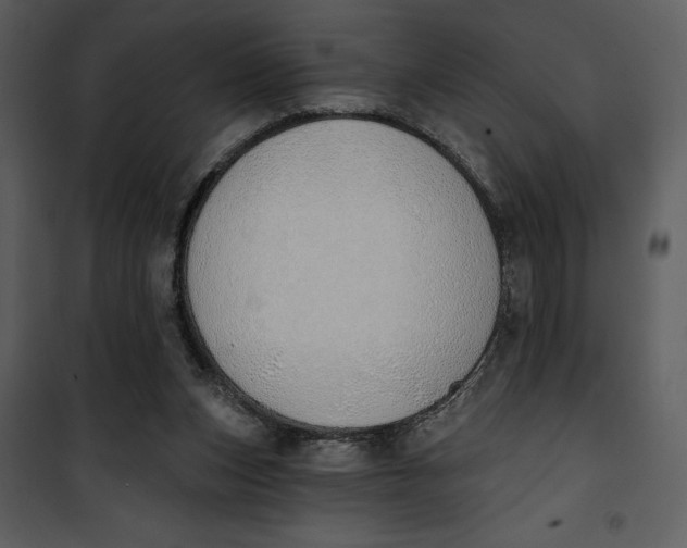 X0000101230159200807181611