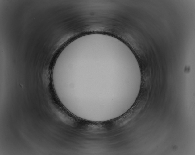 X0000101230160200807181611