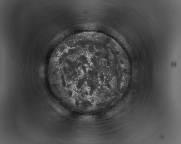 X0000101230161200807181611