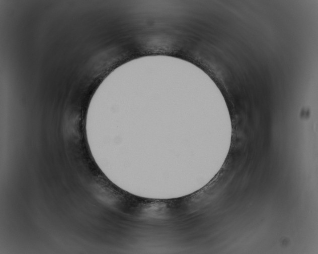 X0000101230162200807181611